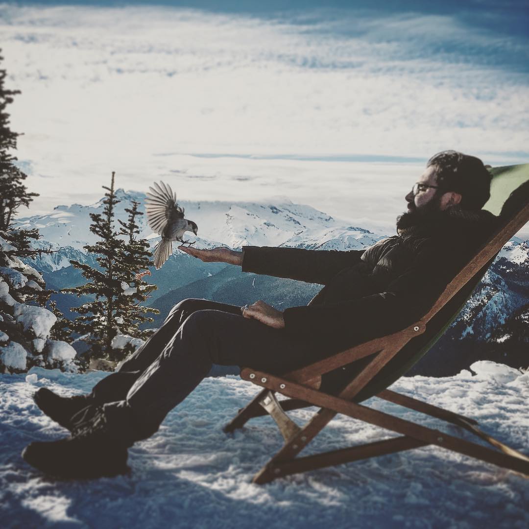 Picture of max on top of a mountain with a bird landing on his open hand